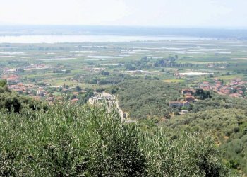 Foto 8 - Villa bargecchia, Massarosa - foto 8