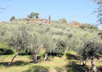 Foto 12 - Villa bargecchia, Massarosa - foto 12