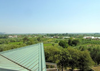 Foto 3 - Villa Massarosa - foto 3