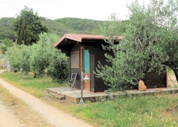 Foto 9 - Rustico Massa Marittima - foto 9