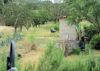 Foto 11 - Rustico Massa Marittima - foto 11