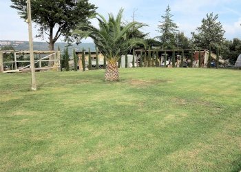 Foto 4 - Rustico Massa Marittima - foto 4