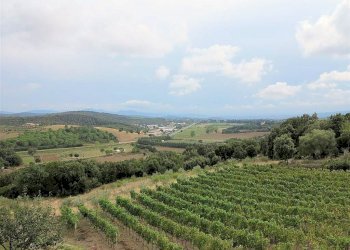 Foto 11 - Rustico Massa Marittima - foto 11