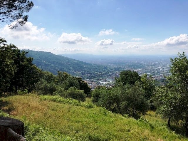 Foto 2 - Rustic Pescia - photo 2