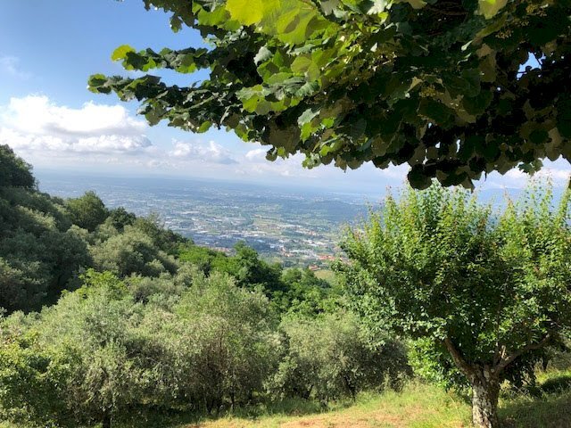 Foto 3 - Rustic Pescia - photo 3