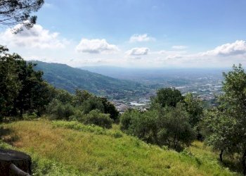 Foto 2 - Rustico Pescia - foto 2