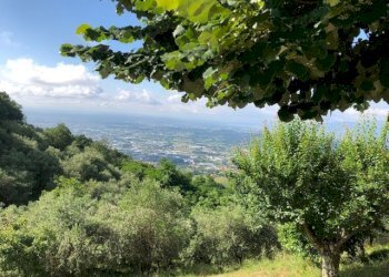 Foto 3 - Rustico Pescia - foto 3