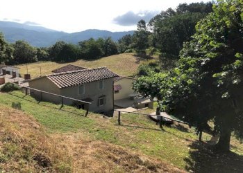 Foto 4 - Rustico Pescia - foto 4