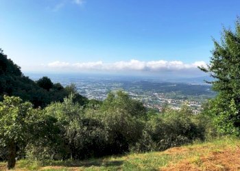 Foto 8 - Rustico Pescia - foto 8