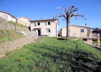 Foto 13 - Rustico Pescia - foto 13