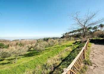 Foto 2 - Rustico Chianni - foto 2