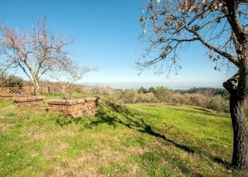 Foto 4 - Rustico Chianni - foto 4