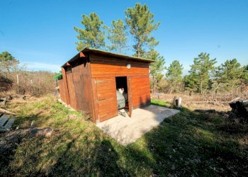 Foto 17 - Rustico Chianni - foto 17