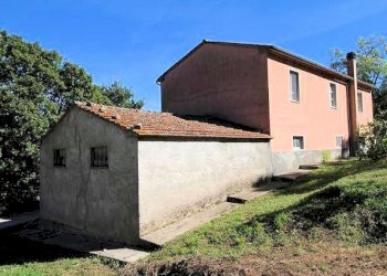 Foto 2 - Rustico Roccastrada - foto 2