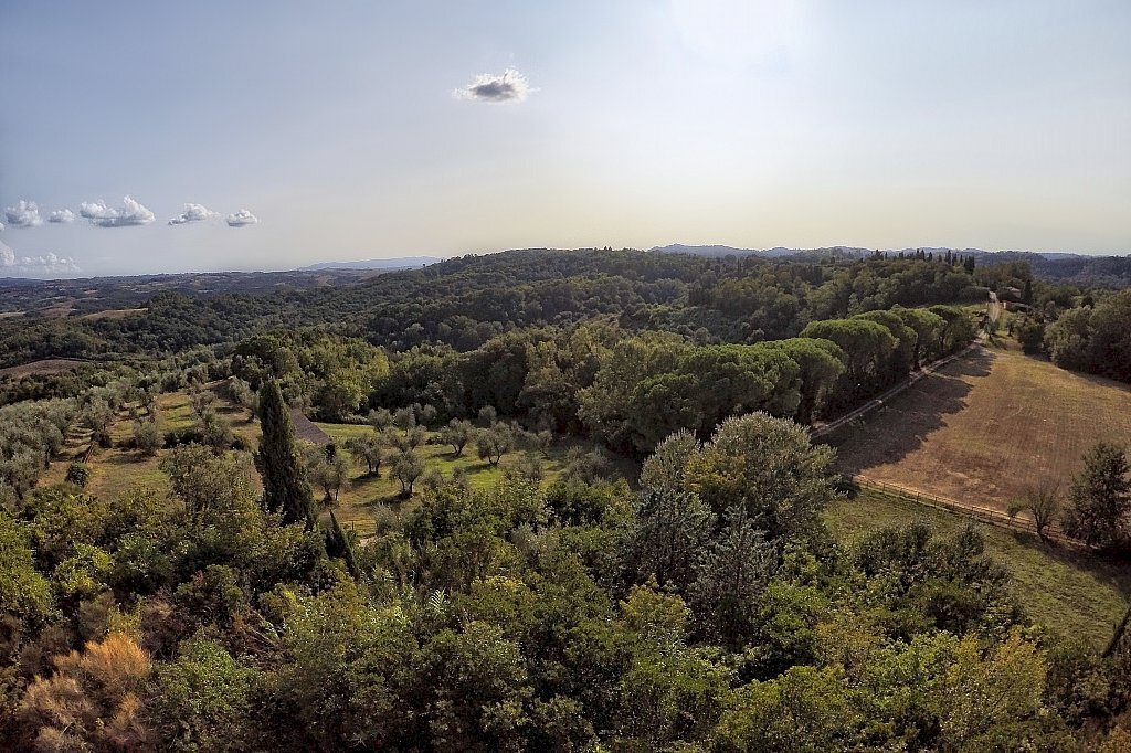 Foto 3 - Rustico Montaione - foto 3