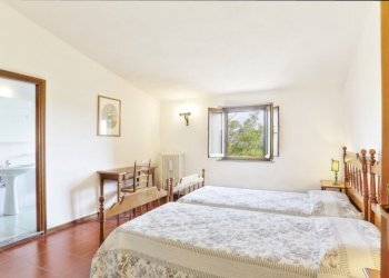 Foto 13 - Rustico Montaione - foto 13