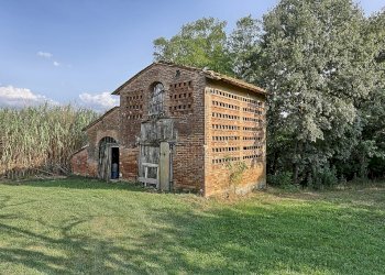 Foto 15 - Rustico Montaione - foto 15