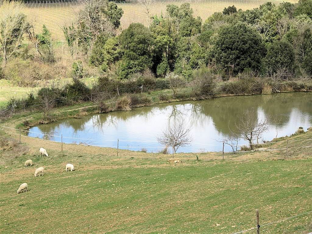 Foto 2 - Rustic Gavorrano - photo 2