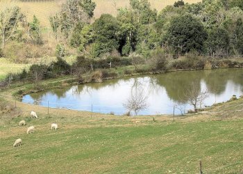 Foto 2 - Rustico Gavorrano - foto 2