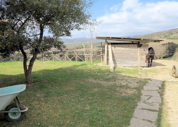 Foto 8 - Rustico Gavorrano - foto 8