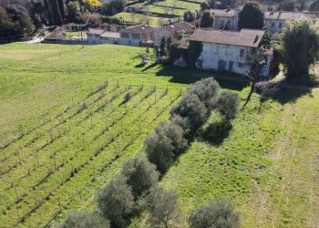 Foto 1 - Villa Lucca - foto 1