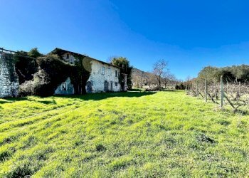 Foto 3 - Villa Lucca - foto 3