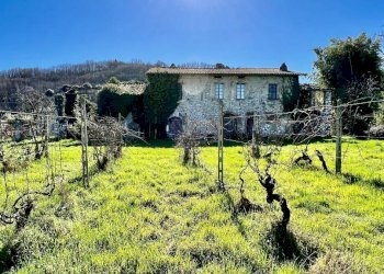 Foto 6 - Villa Lucca - foto 6