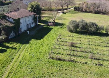 Foto 7 - Villa Lucca - foto 7