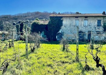 Foto 9 - Villa Lucca - foto 9