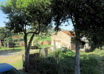 Foto 4 - Rustico Gavorrano - foto 4