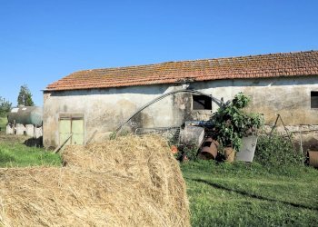 Foto 7 - Rustico Gavorrano - foto 7