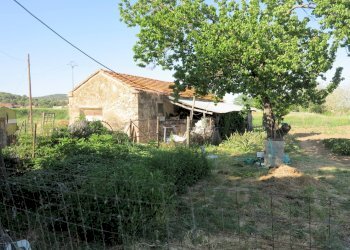 Foto 8 - Rustico Gavorrano - foto 8