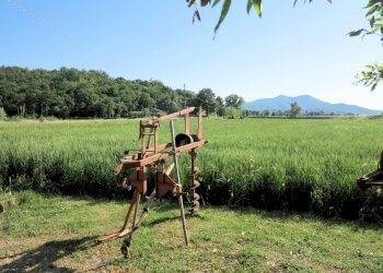 Foto 12 - Rustico Gavorrano - foto 12