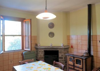 Foto 15 - Rustico Gavorrano - foto 15