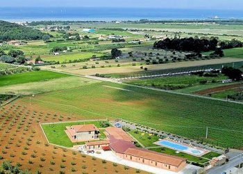 Foto 1 - Rustic Scarlino - photo 1