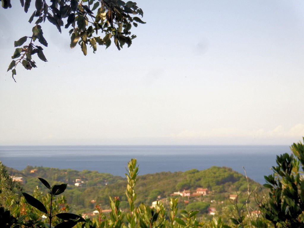 Foto 1 - Azienda agricola Valle Literno, Campo nell'Elba - foto 1