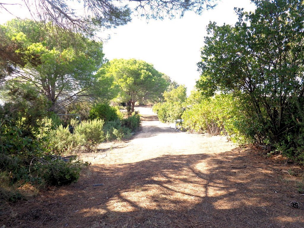 Foto 2 - Azienda agricola Valle Literno, Campo nell'Elba - foto 2