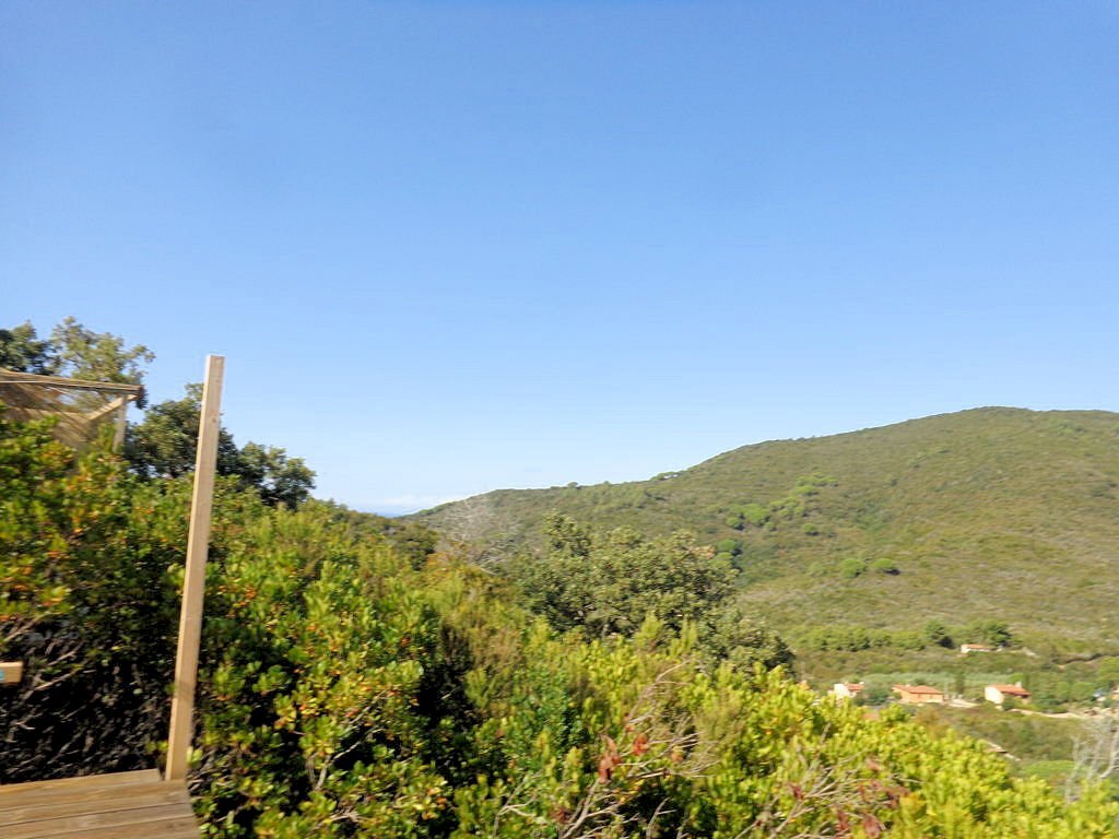 Foto 3 - Azienda agricola Valle Literno, Campo nell'Elba - foto 3