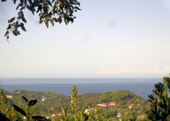 Foto 1 - Azienda agricola Valle Literno, Campo nell'Elba - foto 1