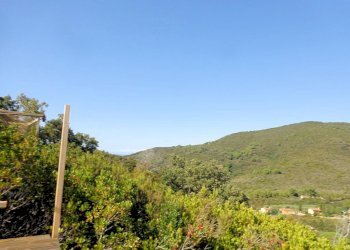 Foto 3 - Azienda agricola Valle Literno, Campo nell'Elba - foto 3