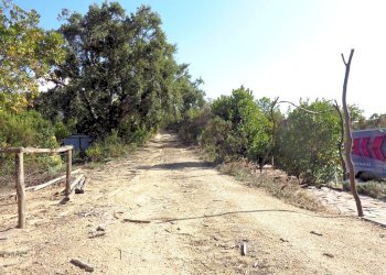 Foto 4 - Azienda agricola Valle Literno, Campo nell'Elba - foto 4