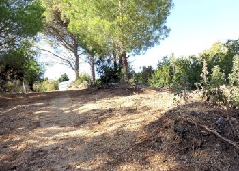 Foto 7 - Azienda agricola Valle Literno, Campo nell'Elba - foto 7