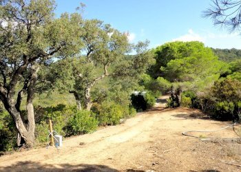 Foto 8 - Azienda agricola Valle Literno, Campo nell'Elba - foto 8