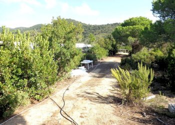 Foto 9 - Azienda agricola Valle Literno, Campo nell'Elba - foto 9