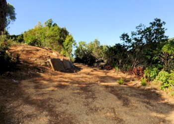 Foto 10 - Azienda agricola Valle Literno, Campo nell'Elba - foto 10