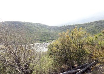 Foto 11 - Azienda agricola Valle Literno, Campo nell'Elba - foto 11