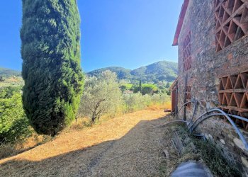 Foto 5 - Rustico Quarrata - foto 5