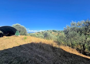 Foto 10 - Rustico Quarrata - foto 10