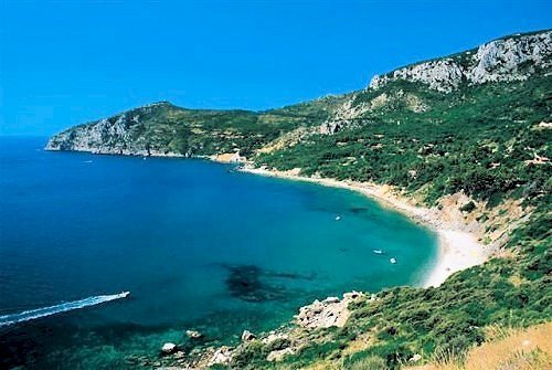 Foto 2 - Building land Monte Argentario - photo 2