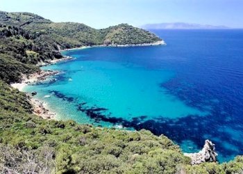 Foto 4 - Terreno edificabile Monte Argentario - foto 4